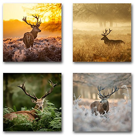 BilderKing 4 schöne Hirsch-Bilder auf Leinwand je 40x40cm groß Feld, Wiese, Wald und Bäume Naturbilder Landschaftsbilder zur Deko in Wohnzimmer, Schlafzimmer, aufhängefertig, Motiv Set-A braun