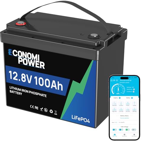 EconomiPower Batterie lithium 12V 100AH LiFePO4 100A BMS 4000-15000 Deep Cycle Lithium Battery, batterie camping car 1280 Wh pour le système solaire, les moteurs à la traîne