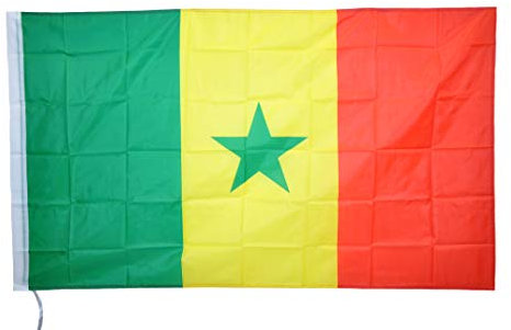 G.V Drapeau Sénégal sénégalais Flag National Black Stars 90 x 150 Haute qualité '