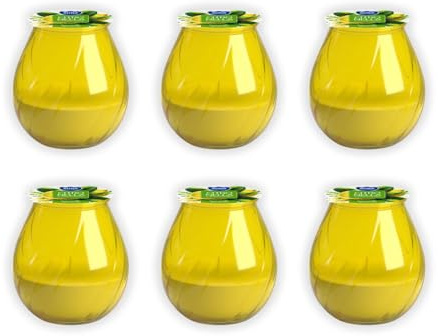 Citronella Kerzen im Glas 6 Stück – Duftkerzen gegen Mücken, Gelbe Windlichter für Außenbereich Kerzen für Garten Balkon Terrasse & Camping Outdoor Deko