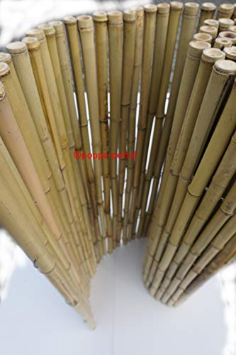 poppe-portal Bambuszaun Rollzaun Bambusmatte Gartenzaun Heckenzaun Lattenzaun (Bambusrollzaun, 24/26mm 120cm H x 250cm B)