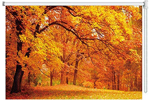 Lqdp Verdunkelungsrollo Rollos 140cm/120cm/100cm/80cm Breite Verdunkelungsrollos Herbstlandschaft Gemustert, Goldene Rollläden für Balkon Hotel Galerie Windows Dekor
