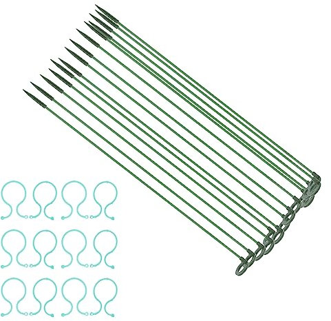 Cabilock Weinpfähle Stäbe Für Gladiolen Anlage Unterstützung Stakes Und Garten Anlage Unterstützung Clips Set Garten Floral Unterstützung für Tomaten Gurke Stäbe Für Gladiolen