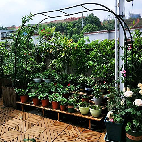 Treillis d'arc de rose de jardin en métal pour plantes grimpantes résistant aux intempéries jardin pergola en fer forgé tonnelle arches torsadées pour pelouse mariage