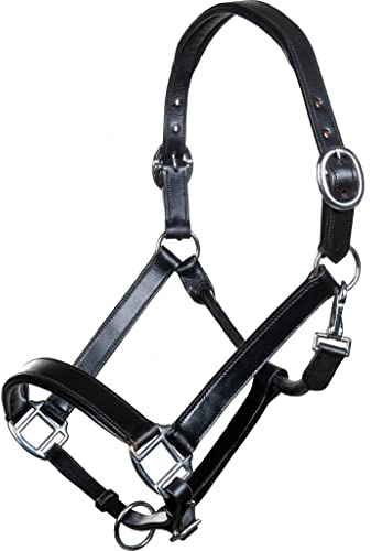 HKM Economic Lederhalfter 9100 Schwarz Warmblut