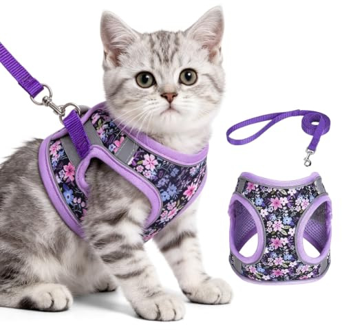Katzengeschirr mit Leine ausbruchsicher Verstellbares Katzen Geschirr Set mit Leine, Atmungsaktives Sicherheitsgeschirr Katze für Kitten Große Katzen, Weiches Katzengeschirr (Lila, 2XS)