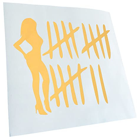 Kiwistar - Autoaufkleber - Goldchrom - 60x51cm B Strichliste - Tussi - Schlampe - Heckscheibe Auto Aufkleber wetterfest für Kfz LKW Mofa Truck - Sticker außen selbstklebend Tuning Zubehör für Fenster