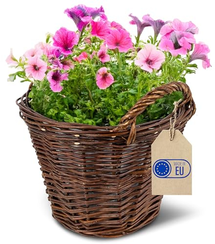 Creative Home Pflanzkasten Weidenblumentopf dunkel mit Folie | Blumenkasten | ähnlich wie Rattan | Balkon Blumentopf 30 x 30 x 30 cm (+/- 2cm) | Blumentopf Blumenübertopf | Weidenkorb für Topfblumen