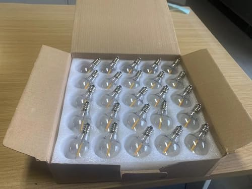 shinytown 25 Pack G40 Globe Plastic LED Bulbs Outdoor Garden Festival String Light Replacements 240-220V 0.6W E12 Screw Base
