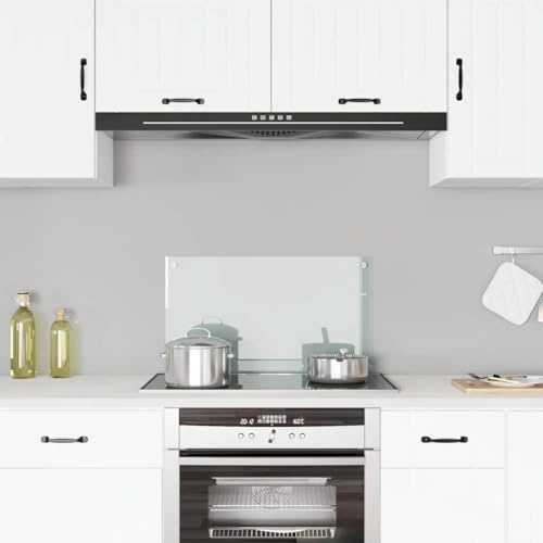 Genérico Paraschizzi per Cucina Trasparente 70x40 cm in Vetro Temperato,Trasparente,4.81kg,249466
