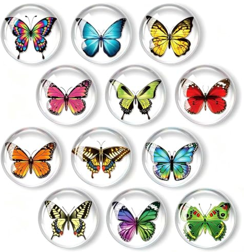 GEFIRE 12 Teiliges 3D Schmetterling Kühlschrankmagnet Set Bunte Harz Magnete mit Goldakzenten für Kühlschrank Whiteboard Wanddeko