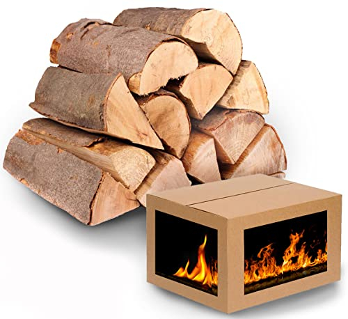 Brennholz Buche Kaminholz 7 Kg Probepaket. Buchenholz bis 400 Kg. Holzlänge 25-33 cm, Trockenes Feuerholz für Kamin Grill