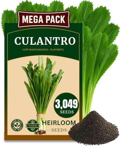 3049+ Culantro Seeds - Heirloom Herb Seeds for Planting, Slow-Bolting, Flavorful Cilantro Alternative, Great for Outdoor Herb Gardens (Eryngium foetidum)