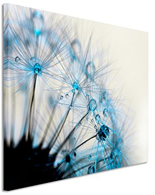 Paul Sinus Art Kunstfoto auf Leinwand 60x40cm Naturfotografie – Makroaufnahme einer Pusteblumen auf Leinwand exklusives Wandbild moderne Fotografie für ihre Wand in vielen Größen