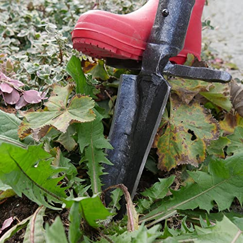 Unbekannt Unkrautstecher aus einem Stück Stahl, handgeschmiedet mit Tritt und Eschen-T- Stiel (85 cm)