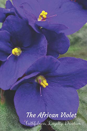 Independently published