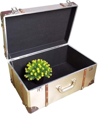 HEIDOUOZ Antiker Holzkoffer, Vintage Koffer, Industrielle Aufbewahrungsbox Aus Metall, Schaufensterregal, Displaydekoration, Fotosammlung, Silber(54x35x26cm)