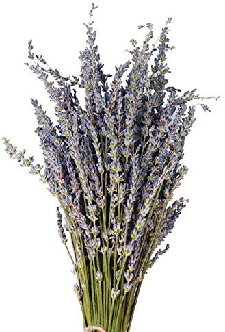 Natürliche Lavendelsträuße, getrocknete Lavendelzweige, natürlicher getrockneter Lavendelstamm, getrockneter Lavendel, Natur für Wohnzimmer zu Hause, Hochzeitsfotografie, Hintergrund, Basteln,