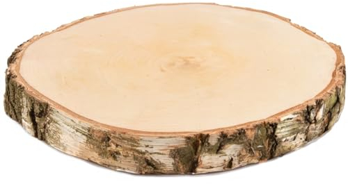 Große Holzscheibe zum Basteln oder Dekorieren - 1 Stück naturbelassene Baumscheibe ca. 45 cm (43 - 47 cm) Durchmesser aus Birkenholz - runde Holz Birkenscheibe als Holzdeko Holzplatten