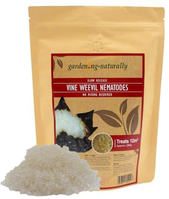 Long Life Vine Weevil Nematodes 12m² – Slow Release Hydrogel Pearls for Soil Treatment 280g