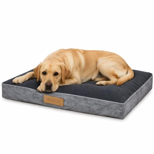 Petsen Hundematratze für mittelgroße und große Hunde, Robustes Hundebett, kratzfestes und abriebfestes Hundekissen, personalisierbar mit Namensgravur (grau, XXL)