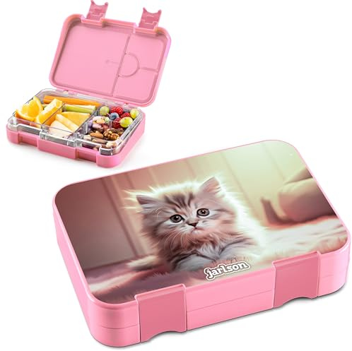 Jarlson® Brotdose Kinder mit Fächern - TONI Lunchbox - Bento Box auslaufsicher – Jausenbox für Kindergarten und Schule - Mädchen und Jungen | Vesperbox | Snackbox (KATZE 2.0)