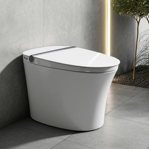 Toilettes intelligentes avec bidet intégré N191-1C