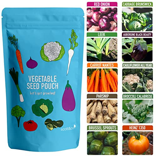 Scott&Co. Vegetable Seeds Variety Pack, UK Veg Planting, Carrot, Broccoli, Onion, Tomato, Aubergine, Cabbage, Parsnip, Sprout, Leek, Cauliflower. Gardening Gifts for Women and Men