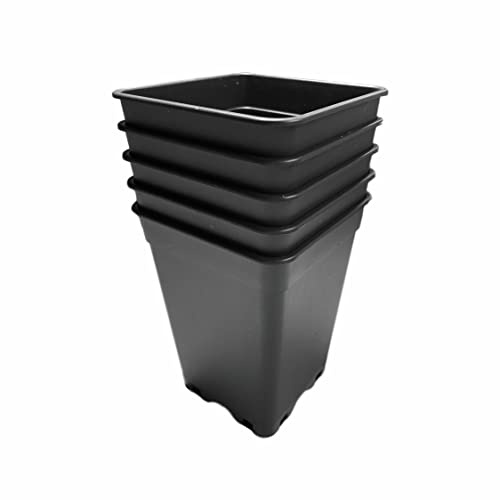 IVORYS-GARDEN 5 x Stück 2 L Anzuchttöpfe 13x13x17,3 cm vierkant Blumentöpfe klein Vorzuchttöpfe aus PP Kunststoff für Pflanzen Topf Aufzuchttöpfe Gewächshaus Tomaten Chili Pflanztopf Anzuch