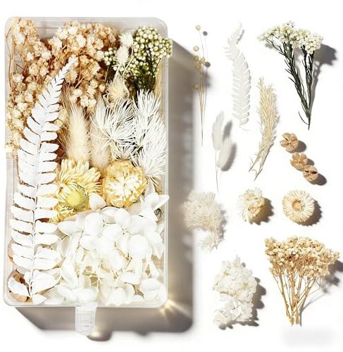 Trockenblumen zum Basteln Trockenblumen Klein Getrocknete Blumen Deko | Basteln Set für DIY Handwerk Epoxidharz Scrapbooking Dekoration (Weiß) Weiße Valentinstag Deko
