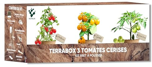 NOPALIA® Kit Tomates Cerises Bio – Mini Potager Intérieur (Green Envy, Ambrosia, Gold Nuggets) – Cadeau Jardinage Enfant & Adulte – Culture Facile & DIY – Décoration Maison & Bureau – Made in France