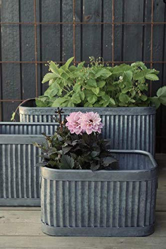 Casadomu Set Of 3 Dolly Tub Planters Herbs Plants Flowers Antique Style Galvanised Pots