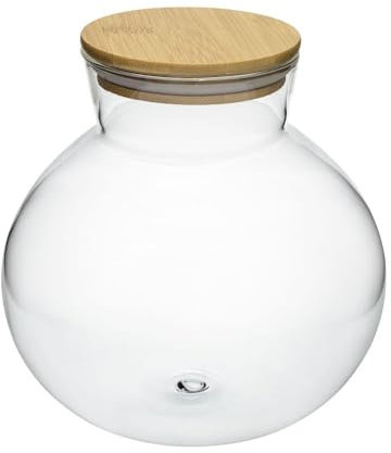 Anfora con coperchio in legno per Terrario in vetro cm185x180h miniecosistema in bottiglia