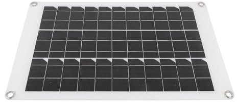 Dioche Kit de Pompe de Fontaine Solaire 12 V pour Bassin 20 W Pompe à Eau à énergie Solaire pour Bain d'oiseaux et étang à Poissons – Faible Bruit, Installation Facile, Débit de 600 L/H, 12 V
