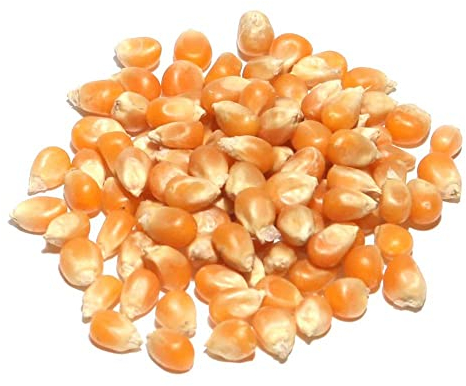 A Kilo of Spices: Popcorn Seeds - Premium quality (1kg)
