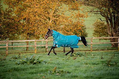 Horseware Decke Amigo Bravo 1200D Plus 400gr 6'6/145 cm - 6'6/145 cm - Grün
