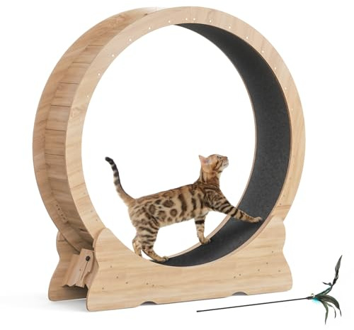Mondeer Ruota per gatti, 110 cm, XL, tapis roulant con tappeto rimovibile e teaser per gatti, per corsa, camminata e allenamento (legno naturale)