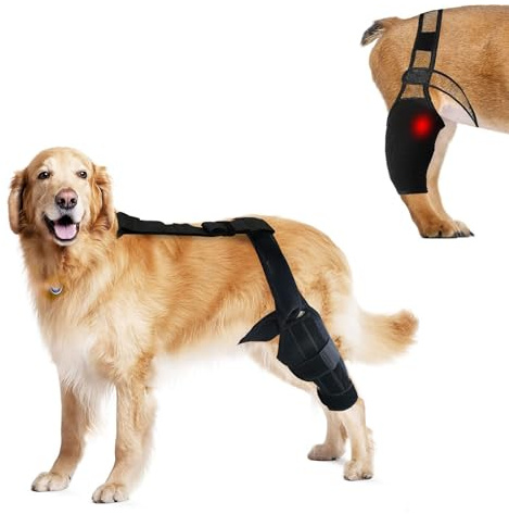 BNOYONERAS Hunde-Kniebandage für Hinterbeine, Hunde-Heckbeinbandage, verstellbare ACL-Genesungshilfe für Hunderückenbeine, Hüft- und Gelenkpflege für Hunde, hält das Bein an Ort und Stelle und heilt