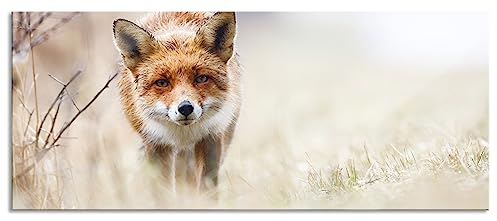 Pixxprint Glasbild Panorama, Wandbild aus Echtglas, Schleichender fuchs, 120x50 cm, inkl. Aufhängung und Abstandshalter