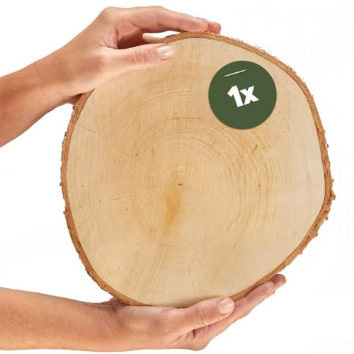 Holzscheibe in 25 cm (23-27cm) Durchmesser für DIY Basteln und Dekorieren - 1 Stück runde Birkenholz Baumscheibe - Naturbelassene Holz Birkenscheibe als Holzdeko Holzplatten