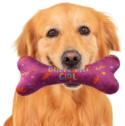 Dog Bandanas – Dreieckige Bandanas, Geburtstag, Knochen, Spielzeug, für Haustiere, niedlich, weich, verstellbar, Zubehör für Spaziergänge Welpen, mittelgroß