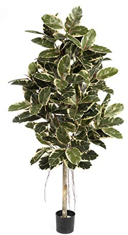 artplants.de Kunst Gummibaum Devi, Naturstamm, grün-weiß, 140cm - Künstliche Grünpflanze