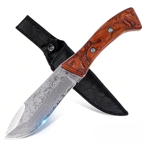 GER-SABER Outdoor Messer 23cm – Tantō-Klinge mit Damast-Optik, Klassischer Handschutz, Tigerartiger Padouk-Griff mit Gravur, Mysteriöser Naturbegleiter