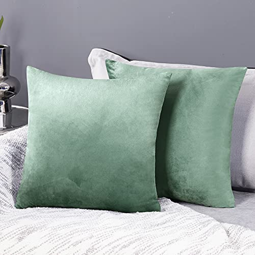Deconovo Set of 2 Home Decoration Crushed Velvet Cushion Covers 55cm x 55cm 22x22 Inches Throw Pillow Cases Plain Cushion Covers for Christmas with Invisible Zipper Mint Green