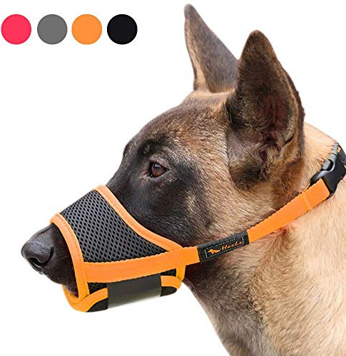 HEELE Maulkorb Für Hunde, Verstellbare Schlaufe, Atmungsaktiv, Sicherer, Schneller Sitz Für Kleine, Mittelgroße Hunde, Verhindert Das Beißen, Kauen Und Bellen (S, Orange) | Maulkorb Hund Sicherer, Schneller Sitz, Maulkorb für Kleine Mittlere Große Hunde, Verhindert das Beißen, Kauen und Bellen