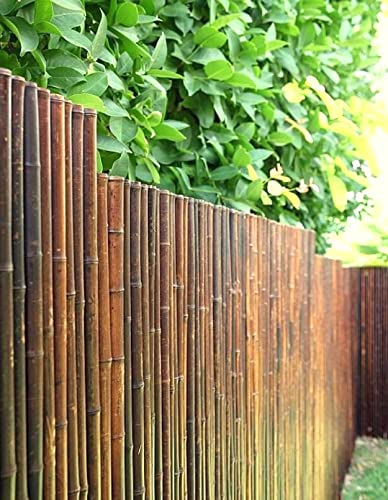DE-COmmerce® Recinto di bambù di alta qualità per la privacy ATY Nigra, chiuso in alto, recinto da giardino, recinto per la privacy per giardino, terrazza, balcone (HxL) 200 cm x 180 cm