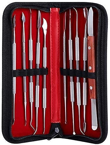 Coolty 10pcs Outils de Sculpture à la Cire à Double Extrémité en Acier Inoxydable pour Sculpter la Cire, l'argile et la Sculpture