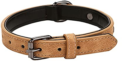 Halsband für Kleine Hunde, Leder Verstellbares Hundehalsband, Weich Gepolstert Hundehalsbänder mit D Ringen, Hundehalsband mit Gepolstert, für Kleine/Mittelgroße Hunde