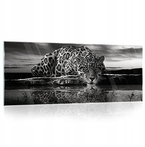 WallArena Glasbilder Bilder, Tiere,
