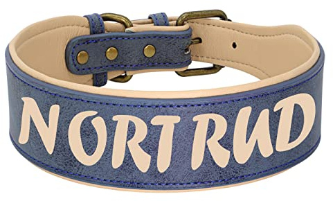 SARUEL Benutzerdefiniertes Großes Hundehalsband Breites Leder Personalisierte Halsbänder Mittelgroße Hundehaustierhalsbänder Angepasst Für Hunde Aufgedruckte Namens-ID,Blau,XXL